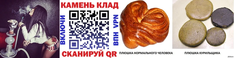 Купить закладки  Мещовск  Гашиш ice o lator 