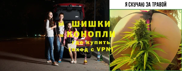 PSILOCYBIN Кодинск