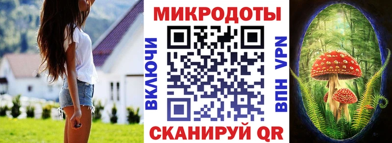 Купить закладки  Мещовск  Псилоцибиновые грибы Cubensis 