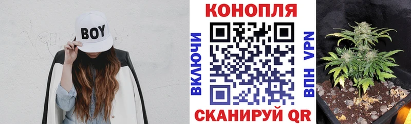 Каннабис OG Kush  Купить где  Мещовск 